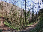 Festa di fiori sui sentieri per il Monte Ubione-19mar24